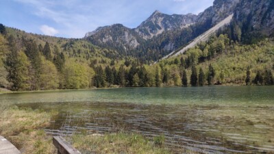Frillensee